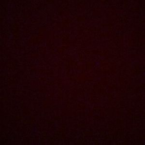 Meet your Posher, Moriah